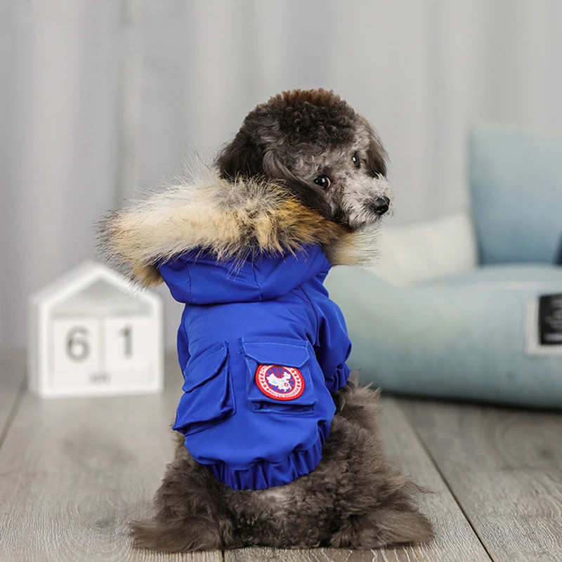 Зимняя одежда для собак, ветрозащитные парки для питомцев, теплый пуховик, пальто для щенков, одежда для маленьких собак, чихуахуа, французская одежда для бульдога - Цвет: Синий
