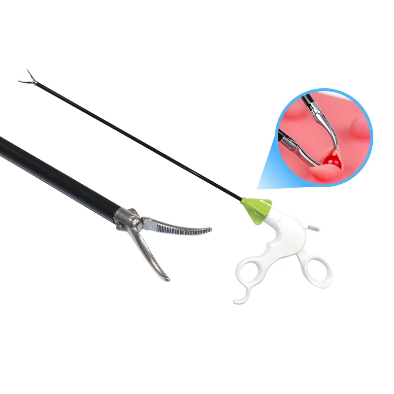 O1CN01q65pnS1nDh2Q0MwbB_!!672715056