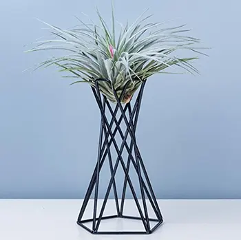 

Rustic Tabletop Mount Hanging Irregular Geometric iron Tillandsia Art Plants Holder Rack Black Containers Flower Racks