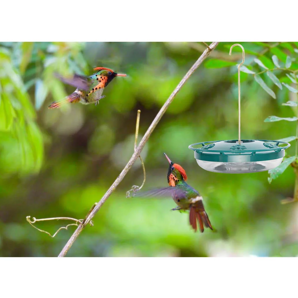 Hummingbird Feeder Outdoor Indoor Garden Patio Birds Seed Feeder Water Feeder