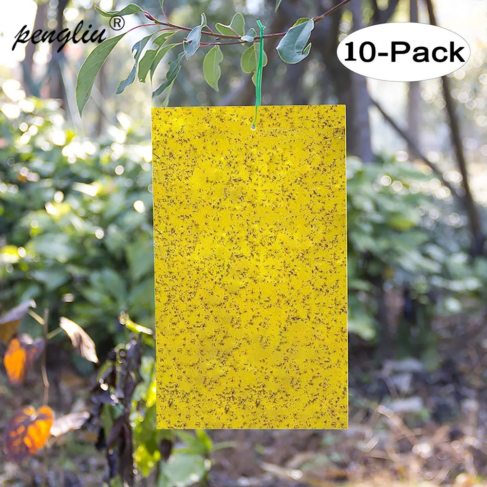 10pcs 20*25cm Strong Flies Traps Bugs Sticky Board Catching Aphid Insects Pest Killer Outdoor Fly Trap for Aphids Fungus GT122 | Дом и сад
