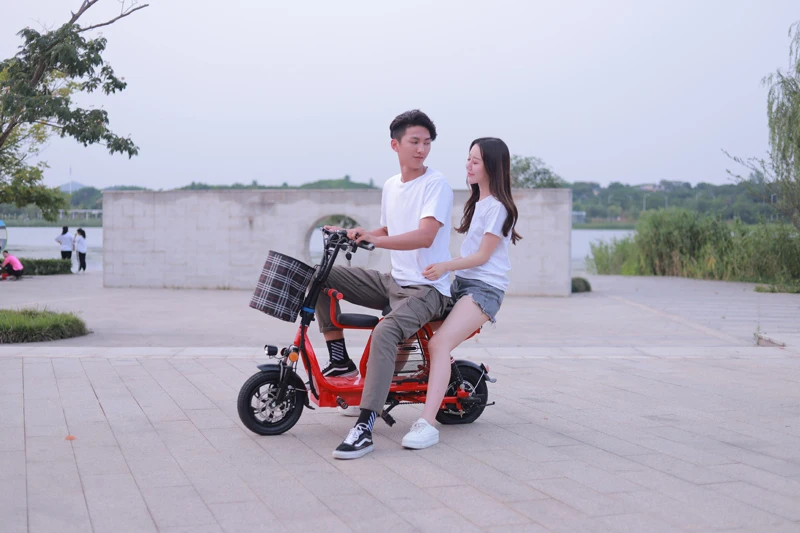 12-дюймовый складной электрический велосипед с корзина для домашних животных электрический велосипед батарея Съемная путешествия, фара для электровелосипеда в взрослых 2-колесный скутер