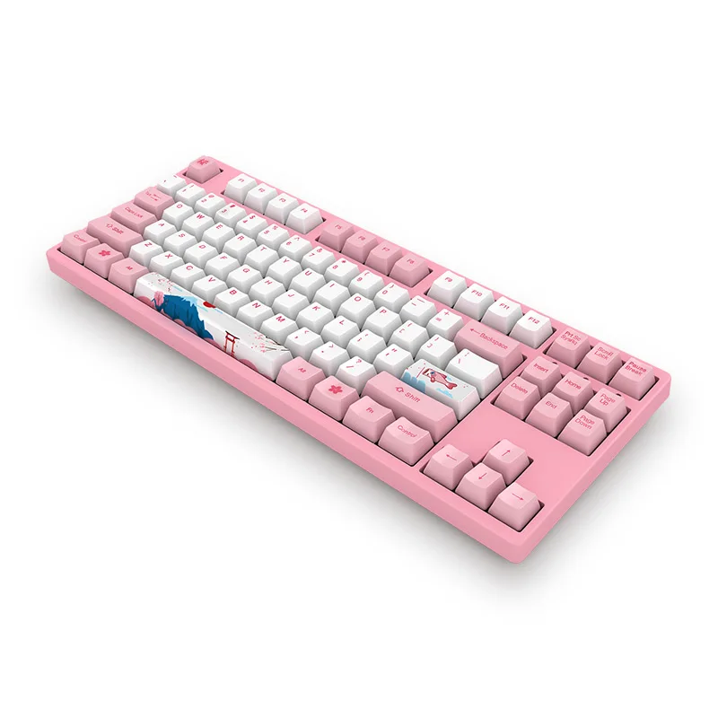 Akko 3087 World Tour-Tokyo 87 Keys Keyboard USB Wired PBT Keycaps Mechanical Gaming Keyboard for PC Laptop