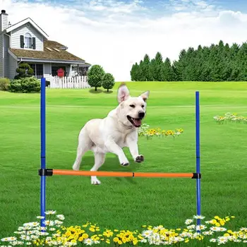 

Pet Training Equipment Outdoor Detachable Pet Dogs Agility Jump Hurdle Bar Games Equipment Exercise Toy Exercise Pole Set