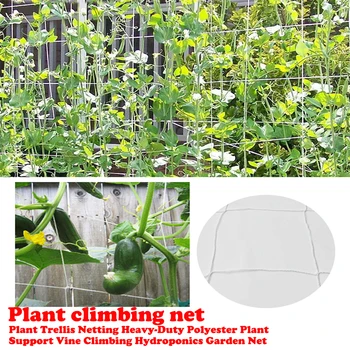 

Garden Plant Climbing Mesh Net Trellis Netting Heavy-Duty Polyester Plant Net Support Vine Climbing Flower Cucumber Landing Net