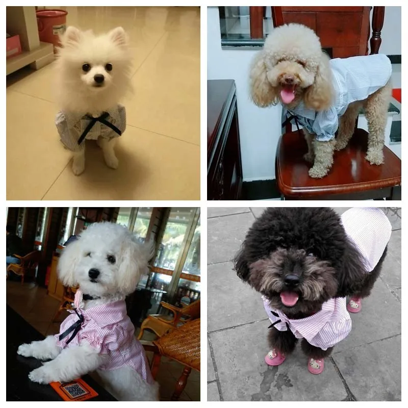 Одежда для домашних животных котов Милая футболка кошки маленькие собаки щенка