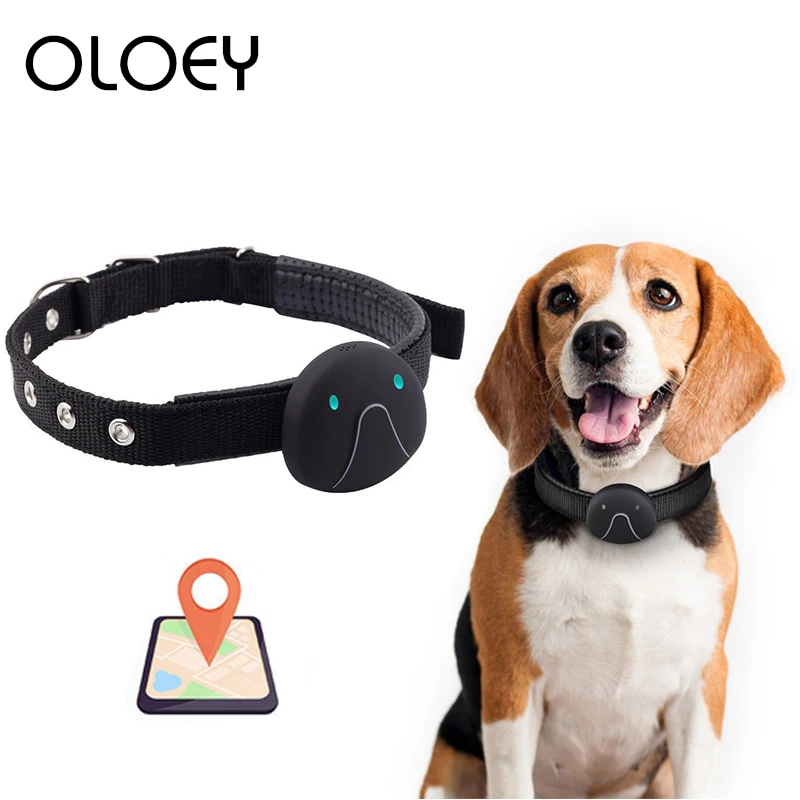 

2G Pet Smart Mini GPS Tracker Dog Collar For Pet Dogs Cats Tracing Locator GPS Tracking Device Anti-Lost WiFi USB Rechargeable
