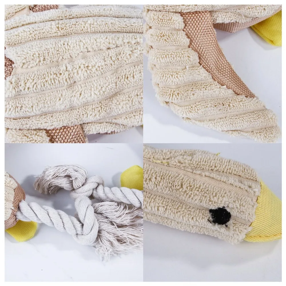 FYP390805-C-20042302-1