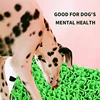 Benepaw Dog Puzzle Toys Snuffle Mat Eco-friendly Durable Slow Feeding Pet Training Pad Puppy Sniffing Encourage Foraging Skills 5
