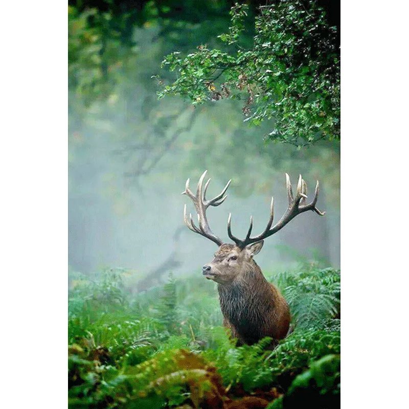 

DIY Diamond Painting 5D Forest Elk Resin Full of Crystals Manufacturers Direct Selling Recruitment Agent Support on Behalf