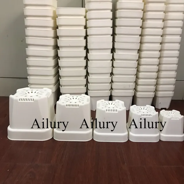 Négyzet Alakú Műanyag Kerek Vastag Zamatos Kis Fekete Növényi Virágcserepek, Fehér Zöld Ültetvények Cserepes Kert Bonsai Tartály - Image 5