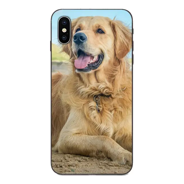 Pin De Debra Kohler En Dogs