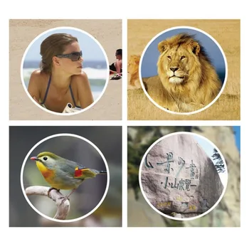 

Telescope Panda Day & Night Vision 40x60 HD Optical Monocular Hunting Camping Hiking Outdoor Telescope