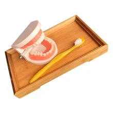 Ensemble de jouets de brossage des dents pour enfants, modèle de dent éducatif pour tout petits 
