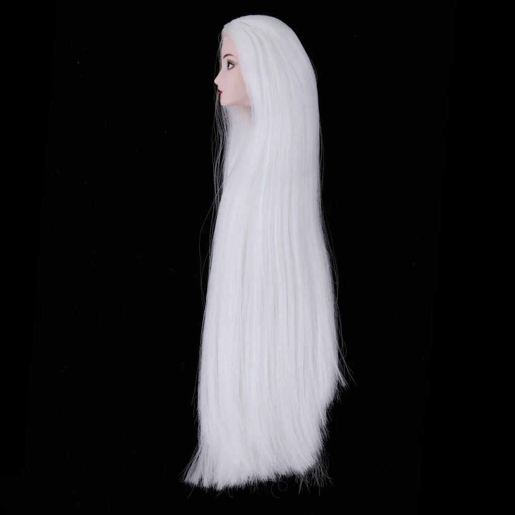 1/6 Girl Doll Painted Head Model with Long White Hair for BJD Doll Kids Custom Part Accessory