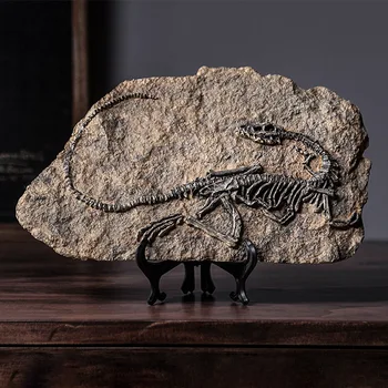 

Ornament Paleontology Educational Toy Resin Model Scientific Office Simulated Skeleton Teaching Aid Dinosaur Statue Home Decor