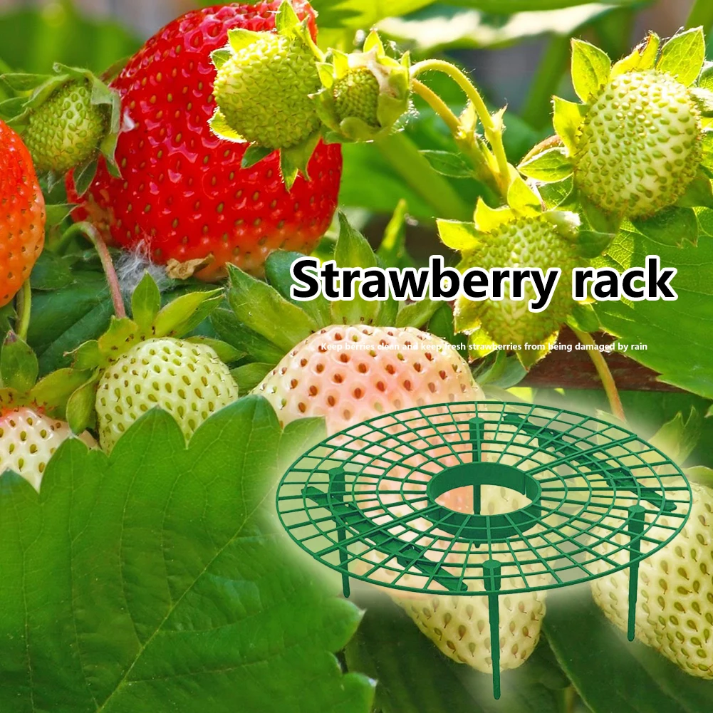 Plastic Strawberry Growing Support Stand Flower Pillar Plant Vegetable Climbing Vine Props for Gardening Accessories