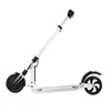 Roller Skates, Skateboards & Scooters