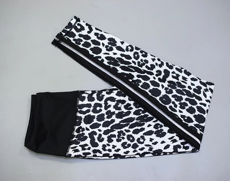 10542855087_46371432