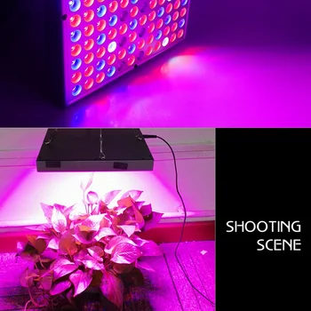 

2000W/8000W LED Grow Light Hydroponic Full High Brightness PhytolampIndoor Imitate Sunlight Plant Flower Growing Bloom