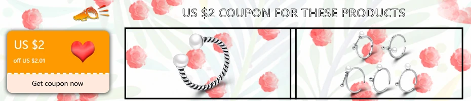 US$ 2 store coupon2
