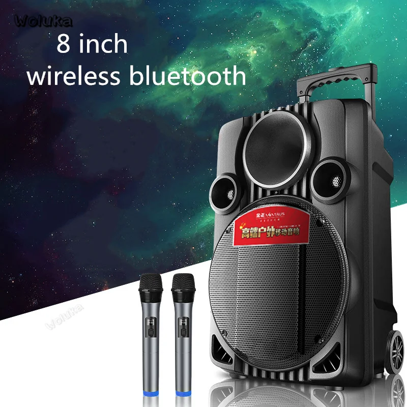 with 2 MICS Беспроводная Bluetooth высокомощная акустическая система с поддержкой звука 8/1" Портативная акустическая система с микрофоном CD50 W05 - Цвет: with 2 MICS