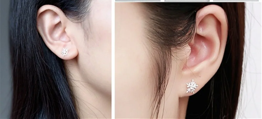 4534316660_248682925