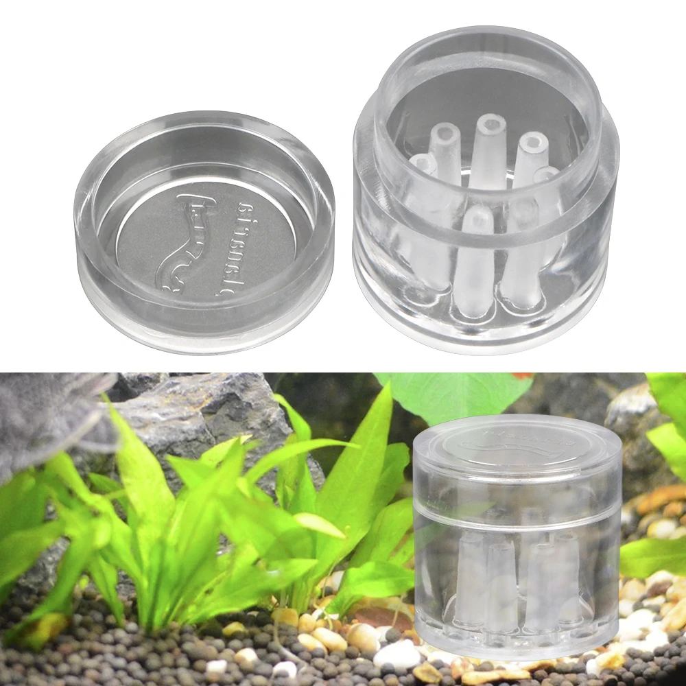 8 Hole Planaria Snail Trap Aquarium Fish Plant Tank Transparent Pest