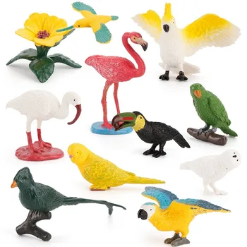 

Children's Simulation Wild Animal Bird Model Parrot Flamingo Toucan Hummingbird Wild Bird Mini Science Education Decor 11pcs