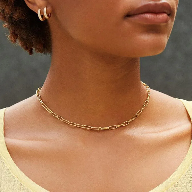 Простой дизайн шикарное стильное изящное металлическое панцирное ожерелье с