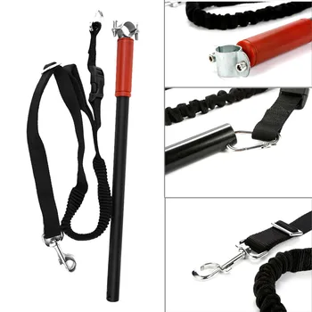 

Accessories Nylon Training Bike Exercise Attachment Pet Supplies Jogging Elastic Walking Cycling Dog Leash Hands Free Outdoor
