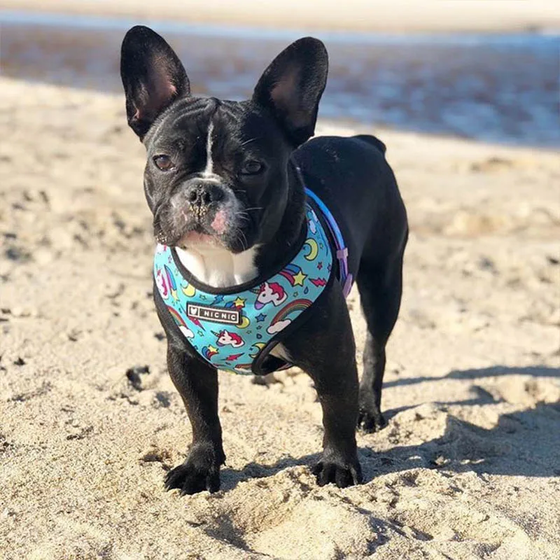 Harnais animal,Harnais pour chien bouledogue français,carlin,petit et moyen gabarit,laisse