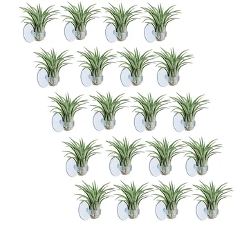 

20 Pcs Air Plant Holder, Plant Pot Tillandsia Holder Air Plant Hanger with Suction Cup for Hanging (Plants Not Included)