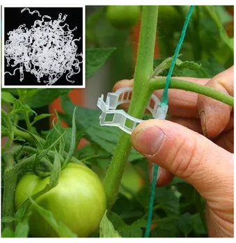 

20-100 Pcs Plastic Trellis Tomato Clips Supports Connects Plants Vines Trellis Twine Cages Greenhouse Veggie Garden Plant Clip