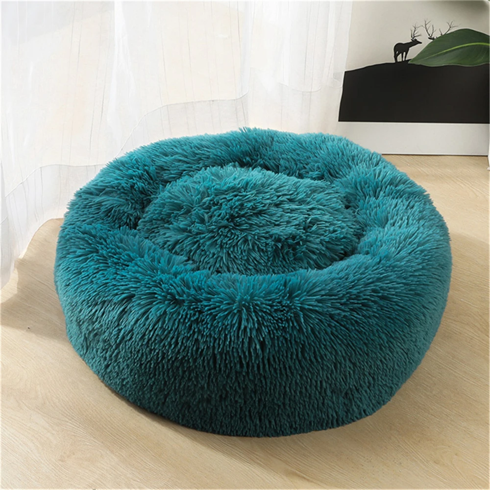 Cyan