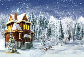 

Winter snow forest photo backgrounds digital vinyl fairy child photo backdrops for photographer studio kits fotografia lv-2366