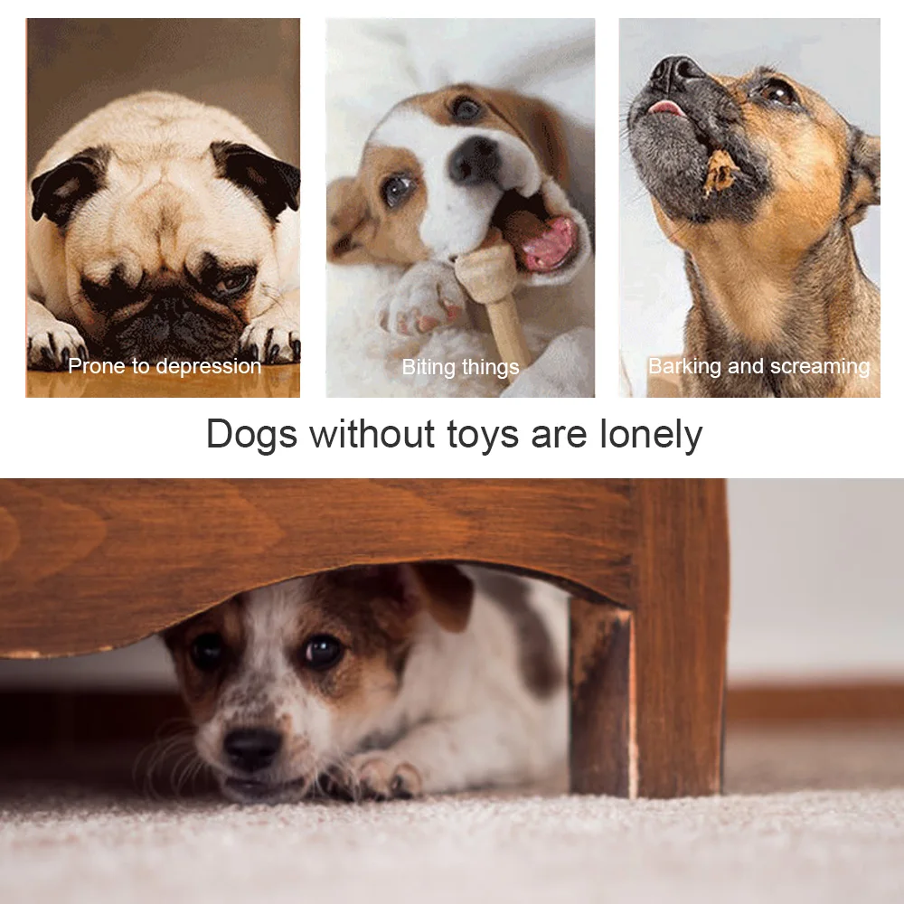 Pet Molar Bite Toy Multi-functional Pet Dog Molar Bite Clean Teeth Toy Rubber Chewing Ball Toy Sucker for Pet Dogs Training Toy