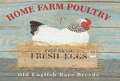 

Free Range Fresh Eggs Theme Metal Tin Sign 8x12 Inch Home Kitchen Travel Decor Retro Tin Sign