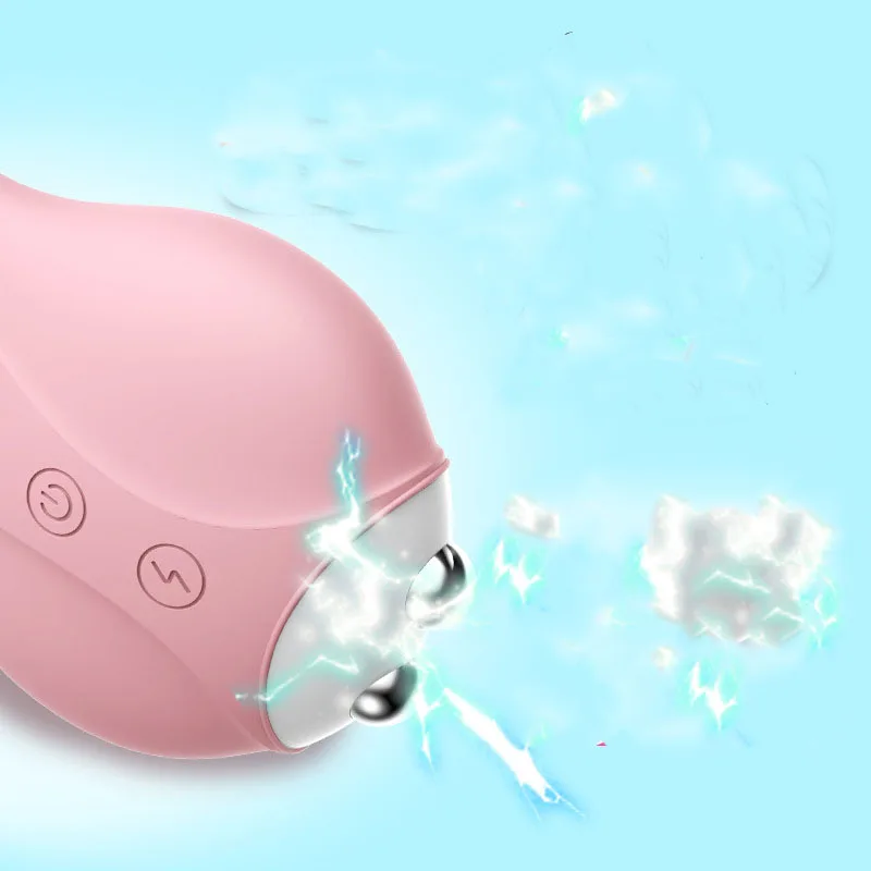 hb212 Electric Shock Massager (7)
