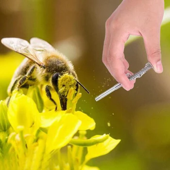 

1PC Spring Pressed Stainless Steel Bee Tool Professional Pollen Suction Tool