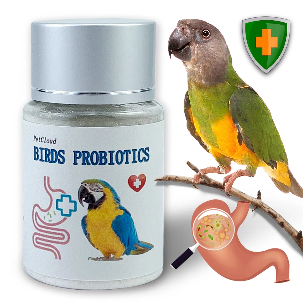 Vogels Probiotica De Verlichten Diarree Reguleren En Maag Verhogen Immuniteit Voor Papegaai Duif Huisdieren|Bird Feeding| - AliExpress