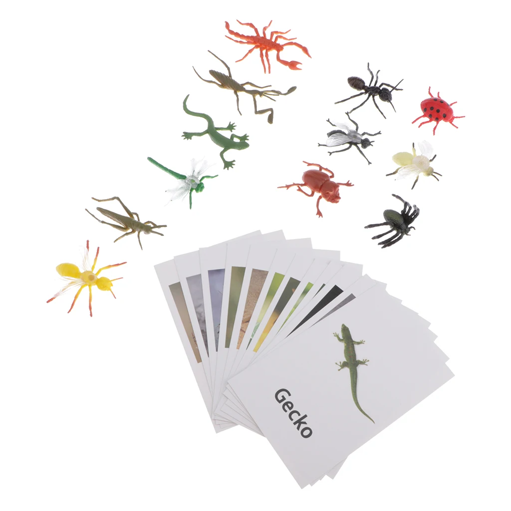 Montessori Insect Animal Match - Miniature Insects Figurines (12pcs) with Matching Cards (12pcs) - 2 Montessori Learning Toy