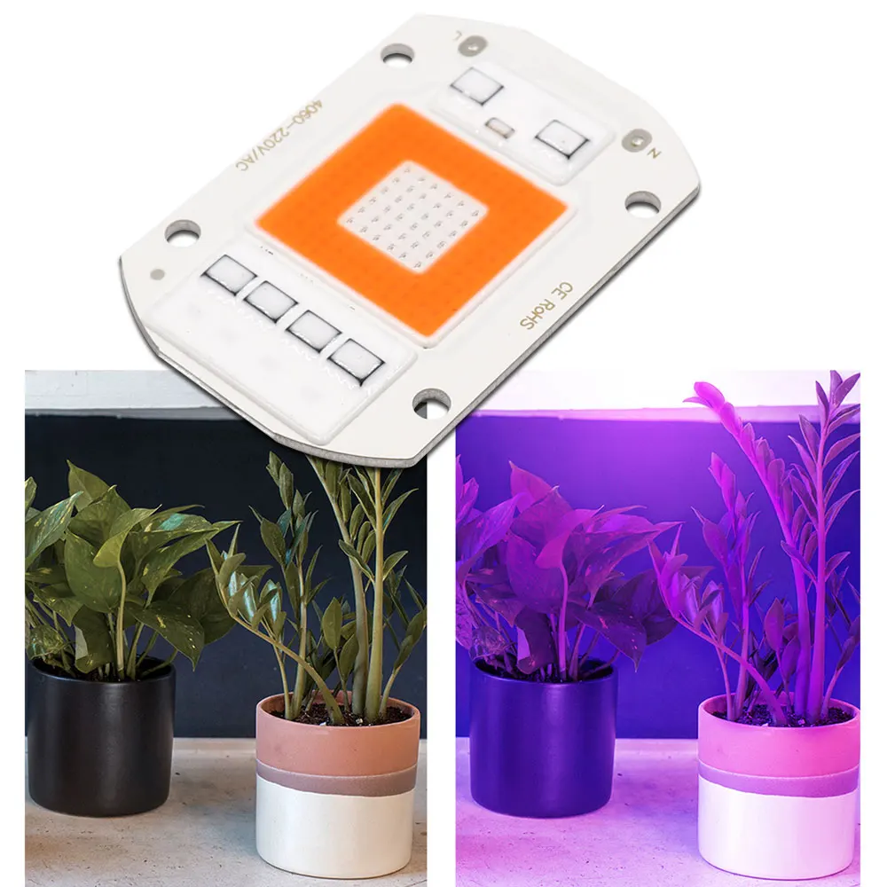 Full Spectrum LED COB Plant Grow Lamp AC 220V 110V Directly Smart IC Chip 20W 30W 50W for Flower Blooming VEG