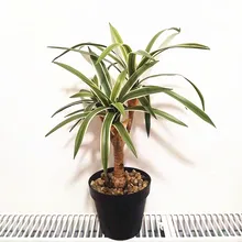 

48cm 3 Heads Artificial Desktop Potted Tropical Realistic Fake Plants Plastic Indoor Palm Tree Bonsai Hotel Office Home Decor