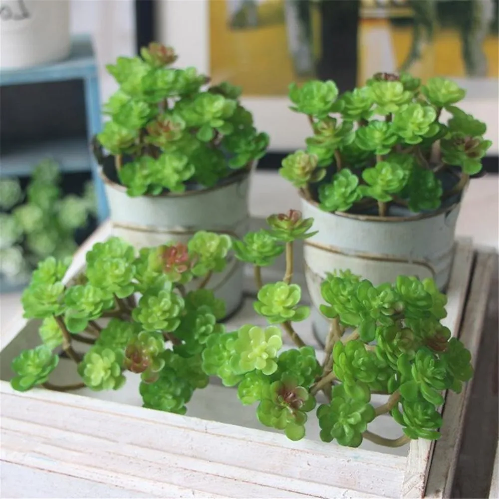 Миниатюрные суккуленты Моделирование Мини DIY пластиковые растения офисный Декор сад домашний декор нежный подарок