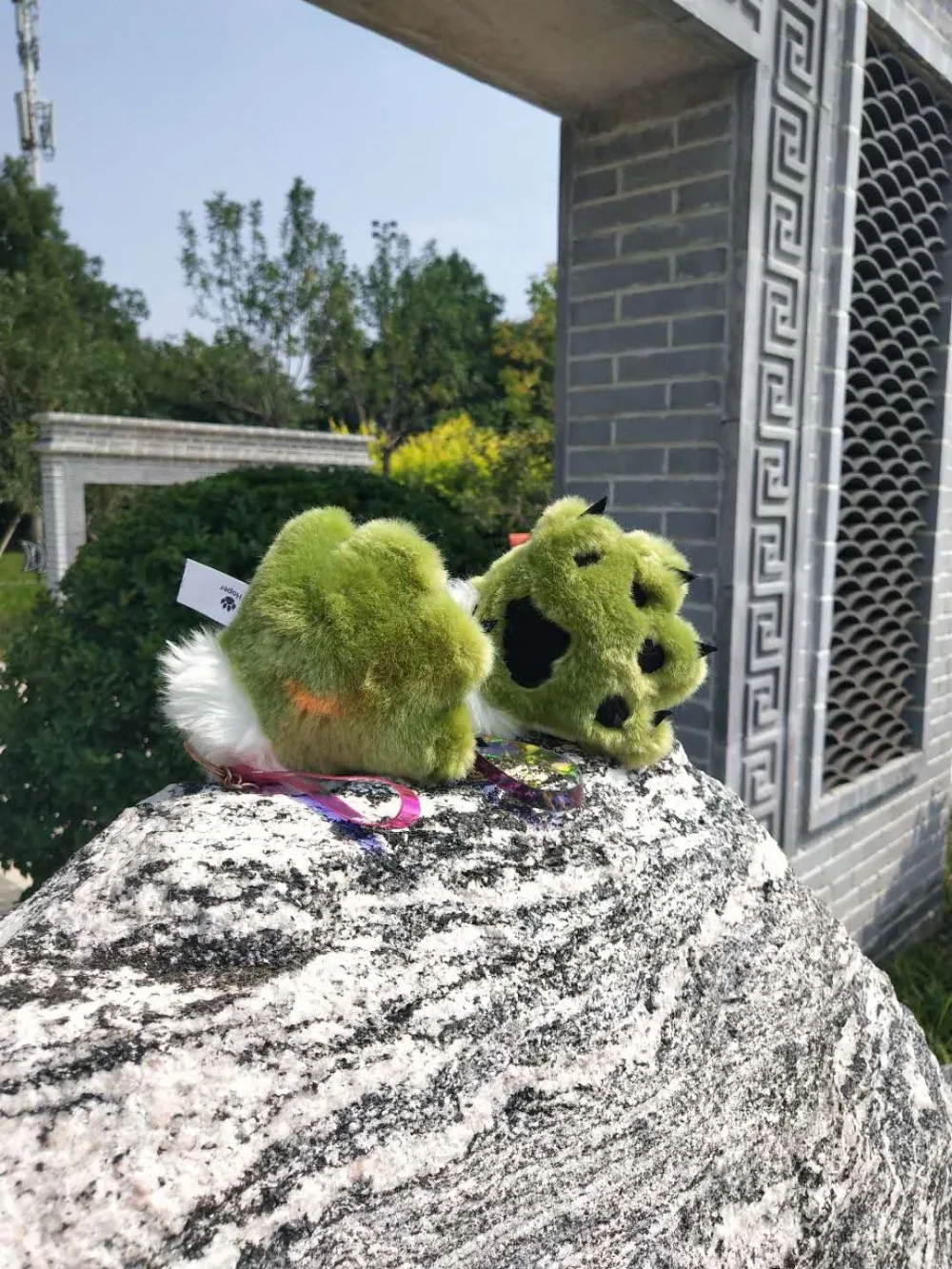 IMG_8563(20200828-151809)