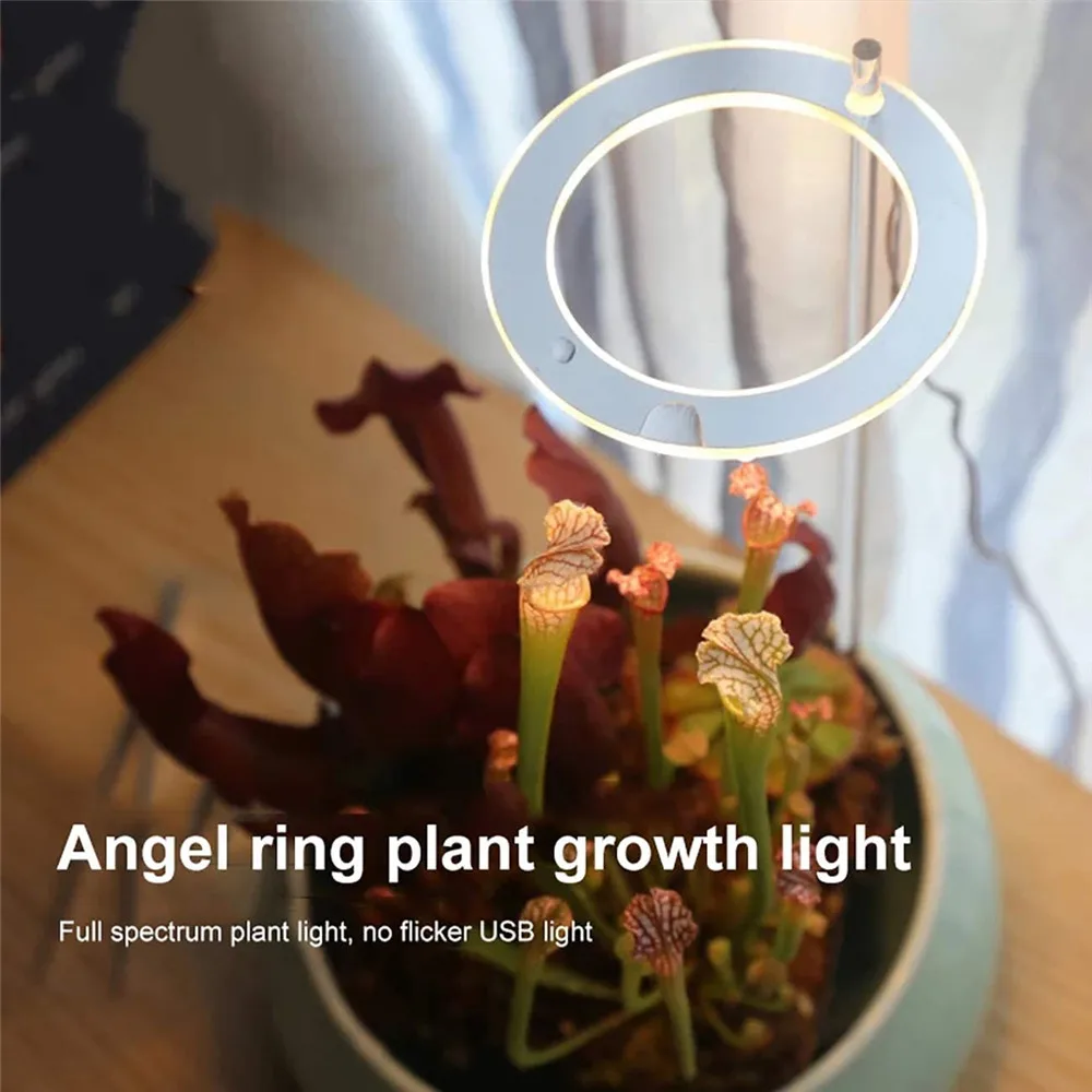 New LED Grow Light Full Spectrum Phyto Lamp Leds USB For Plants 5V Phytolamp Growth Lighting Indoor Plant Led Lights | Лампы и