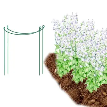 

Flower Plant Support Stake Metal Garden Plant Stake Green Half Round Plant Support Ring Plant Cage