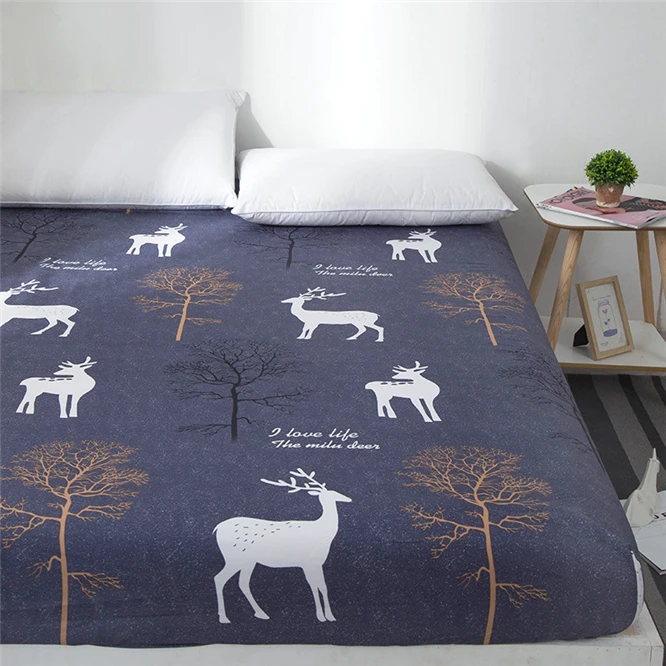 11399833784_1125082202