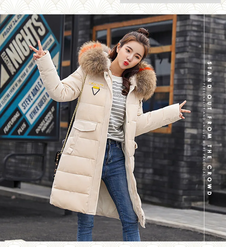 9051457611_1006637240